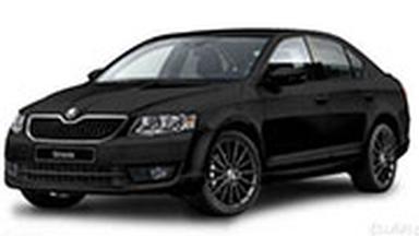 Авточехол для Skoda Octavia A7 Hockey Edition Авточехол для Skoda Octavia A7 Hockey Edition