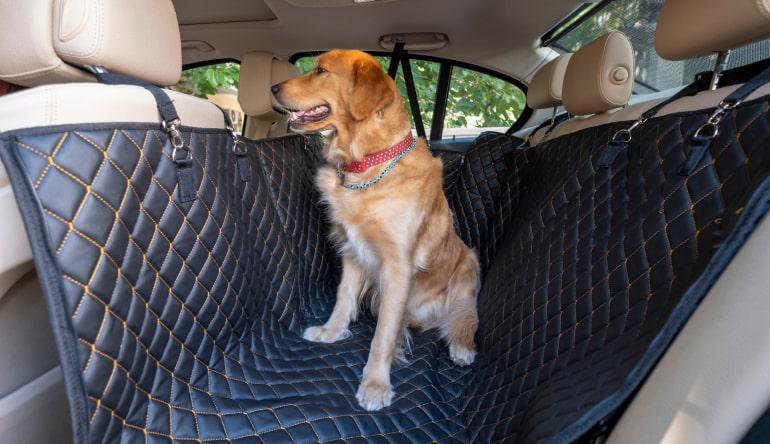Чехлы для перевозки животных в автомобиле можно купить в интернет-магазине "Автопилот"